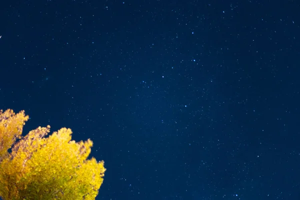 밤하늘별 별자리가 나무는 것이다 도시에서 떨어진 — 스톡 사진