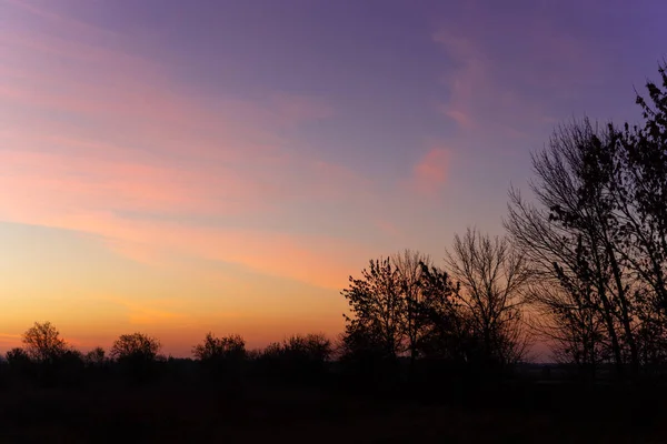 Azul Tempo Céu Noite Paisagem Com Árvores Primeiro Plano Pôr — Fotografia de Stock