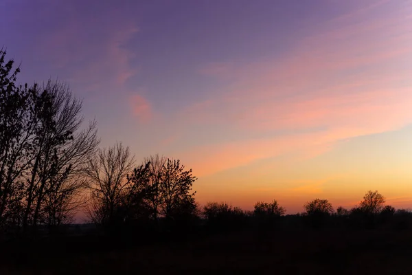 Azul Tempo Céu Noite Paisagem Com Árvores Primeiro Plano Pôr — Fotografia de Stock