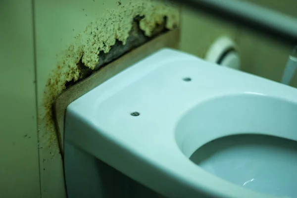 Brudna Straszna Toaleta Publicznej Toalecie Pogorszenie Płytki Spowodowane Wilgocią Moczem — Zdjęcie stockowe