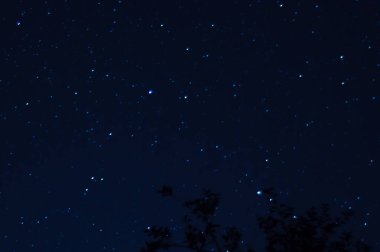Uzun pozlu gece fotoğrafı. Önünde ağaçlar olan bir sürü yıldız. Şehirden uzakta. Gece manzarası.
