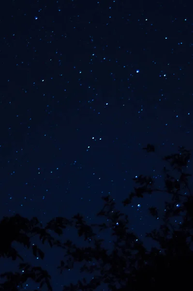 Dlouhá Noční Fotka Spousta Hvězd Stromy Popředí Daleko Města Noční — Stock fotografie