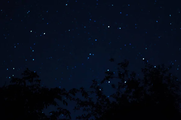 Long Exposure Night Photo Lot Stars Trees Foreground Far City — Stock Photo, Image