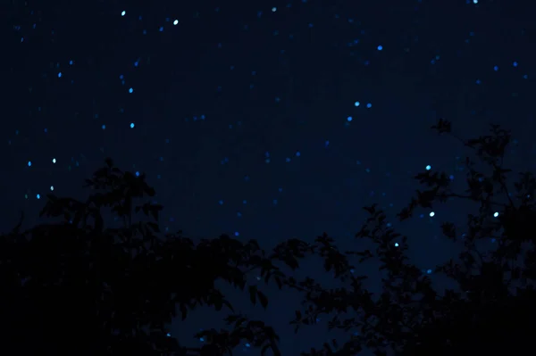 Long Exposure Night Photo Lot Stars Trees Foreground Far City — Stock Photo, Image