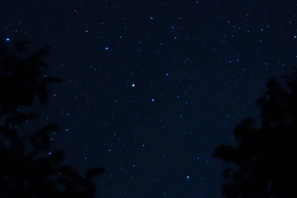 Hosszú Expozíciós Éjszaka Fényképe Sok Csillag Előtérben Fákkal Messze Várostól — Stock Fotó
