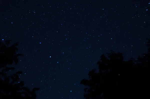 Lange Belichtungszeit Nacht Foto Viele Sterne Mit Bäumen Vordergrund Weit — Stockfoto