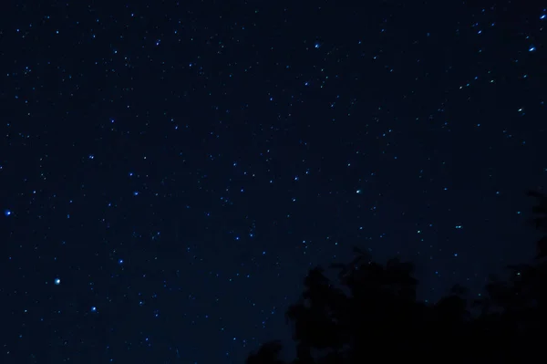Lange Belichtungszeit Nacht Foto Viele Sterne Mit Bäumen Vordergrund Weit — Stockfoto