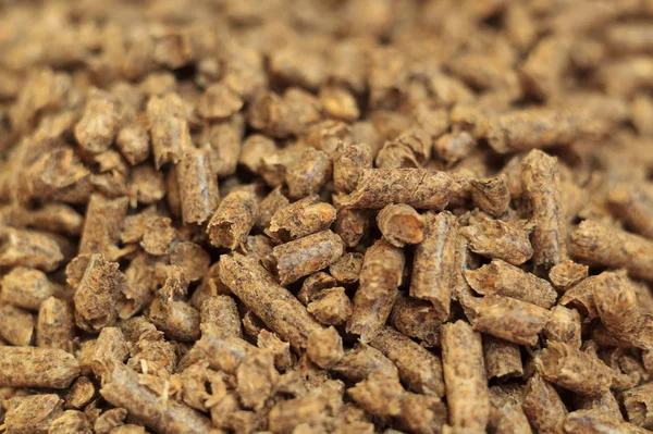 Fuel wood pellet close-up. A source of alternative clean energy. A lot of pellet. Natural fuel and energy of future.