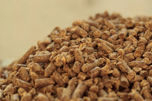 Fuel wood pellet close-up. A source of alternative clean energy. A lot of pellet. Natural fuel and energy of future.