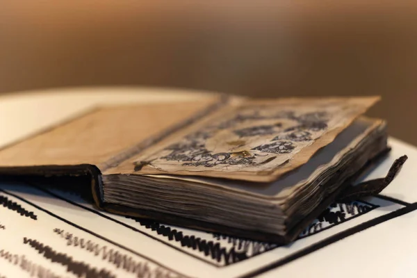 Üzerinde kule sembolü olan el yapımı sihirli bir defter. Deri örtü ve el yapımı çarşaflar içinde. Defterin ilk sayfasında Zodiac 'ın 12 işareti var. Deftere yumuşak odaklı bulanık bir arkaplan.
