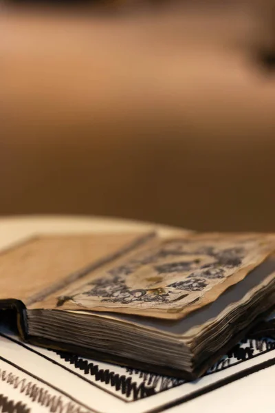 Üzerinde kule sembolü olan el yapımı sihirli bir defter. Deri örtü ve el yapımı çarşaflar içinde. Defterin ilk sayfasında Zodiac 'ın 12 işareti var. Deftere yumuşak odaklı bulanık bir arkaplan.