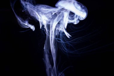 Siyah arka planda izole edilmiş duman bulutları. Vape bobininde sıcak vape sıvısı sıçradı. Güzel aromatik bulut. Düşük ışık fotoğrafı. Düşük tuşlu gizli fotoğraf. 