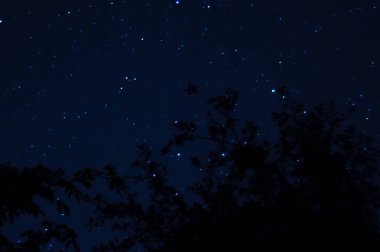 Uzun pozlu gece fotoğrafı. Önünde ağaçlar olan bir sürü yıldız. Şehirden uzakta. Gece manzarası.