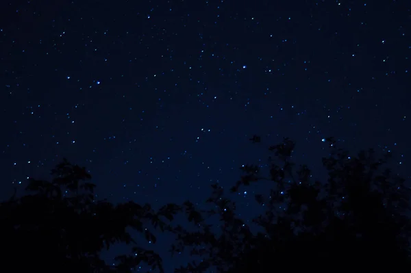 Νυχτερινή Φωτογραφία Πολλά Αστέρια Δέντρα Πρώτο Πλάνο Μακριά Από Την — Φωτογραφία Αρχείου