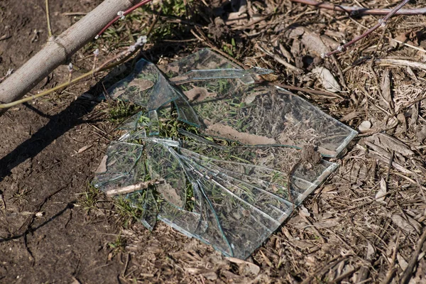 Basura en el campo agrícola. Ecología problema y gran daño a — Foto de Stock