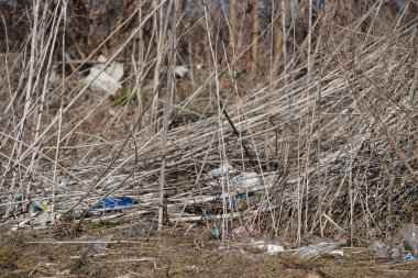 Tarım alanında çöp. Ekoloji sorunu ve büyük zarar 