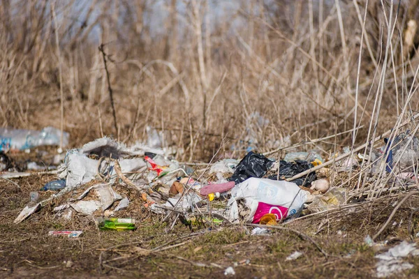 Trash on the agriculture field. Ecology problem and big harm to — Stock Photo, Image