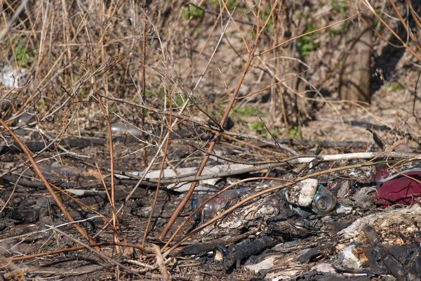 Trash on the agriculture field. Ecology problem and big harm to — Stock Photo, Image