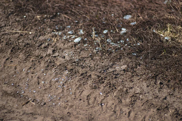 Trash on the agriculture field. Ecology problem and big harm to — Stock Photo, Image