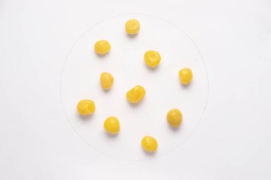 Beyaz backgroud izole küçük şekerli limon. 