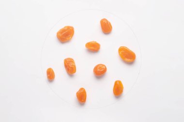 Beyaz backgroud izole şekerli kumquat. 