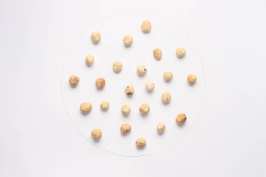 Beyaz backgroud izole fındık. 