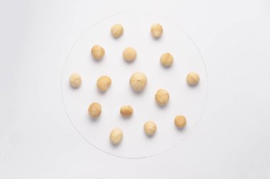 Makadam fındık beyaz backgroud izole. 