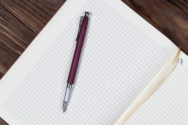 Planificateur Quotidien Ouvert Sur Fond Bois Avec Stylo Plume Violet — Photo