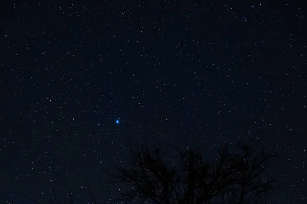 Dlouhá Noční Fotka Spousta Hvězd Stromy Popředí Daleko Města — Stock fotografie