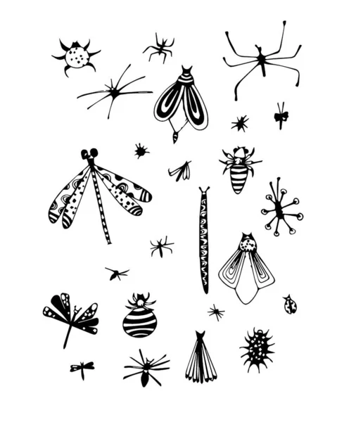 De insecten — Stockfoto