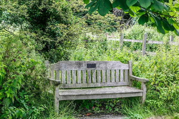 Einsame Holzbank Inmitten Eines Grünen Parks Großbritannien — Stockfoto