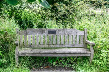 Yapraklı bir park, İngiltere'de ortasında yalnız bir ahşap Bank önden görünümü
