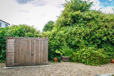 Küçük ahşap kulübe ve bir sürü bitki örtüsü ile güzel bir İngilizce Bahçe görünümünü