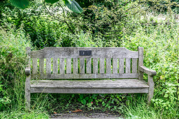 Front view of a lonely wooden bench in the middle of a leafy park, UK