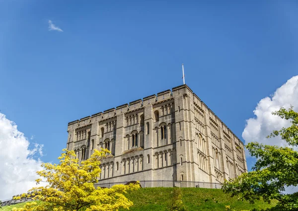 Castillo Medieval Ciudad Norwich Hermoso Día Soleado Norfolk — Foto de Stock