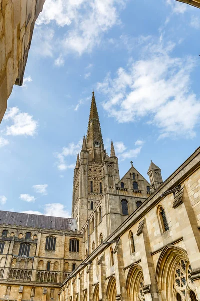 Vista Vertical Famosa Catedral Con Torre Aguja Ciudad Norwich Norfolk — Foto de Stock