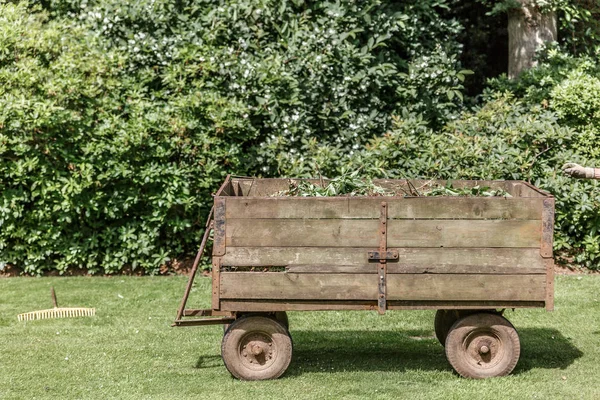 Carruaje Vintage Para Transporte Malas Hierbas Partes Cortadas Árboles Reino — Foto de Stock