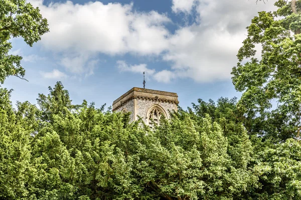 Turm Umgeben Von Bäumen Blickling Nördlich Von Aylsham Ein Sommertag — Stockfoto