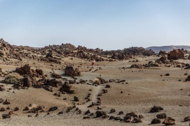 Volkanik lav manzara ünlü Teide Milli Parkı'nda güzel bir güneşli gün. Kanarya Adaları