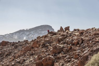 Volkanik Close-up Teide Milli Parkı ile arka planda dağlar Tenerife Adası güneşli bir günde Kanarya Adaları kayalar
