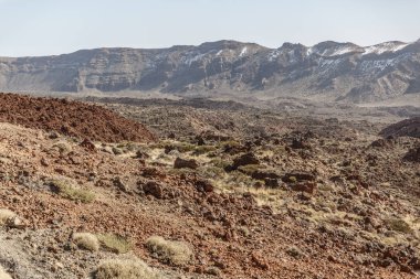 Bir çöl, yatay Teide Milli Parkı'nda, arka planda dağlar görünümünü güneşli bir ada Tenerife, Kanarya Adaları