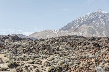Kurak bir lav manzara önünde Teide Yanardağı Tenerife, Kanarya Adaları görünümünü