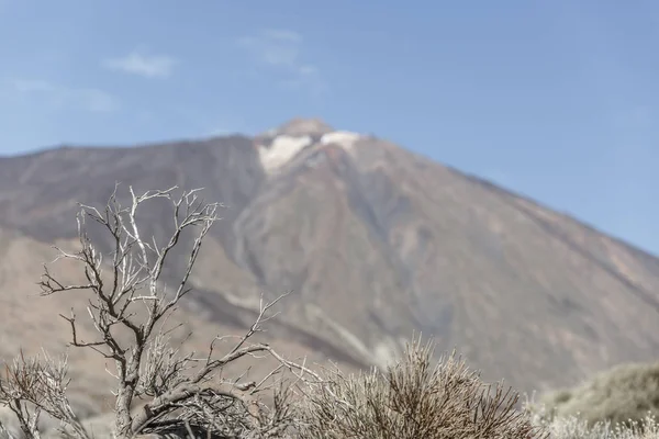 테네리페 섬에에서 화산으로 Teide 공원에서 — 스톡 사진