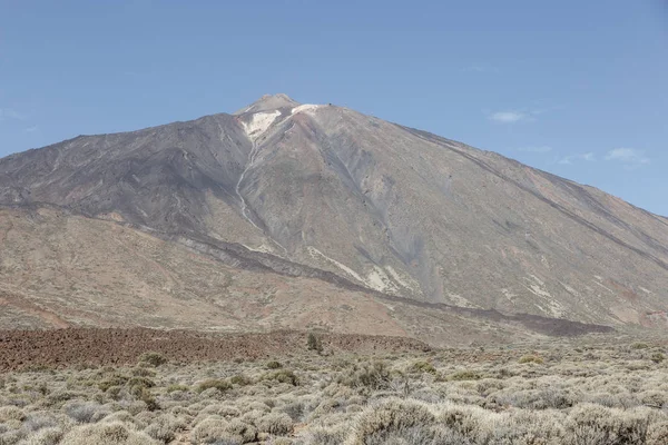 Vista Del Desierto Con Muy Poca Vegetación Frente Gran Volcán —  Fotos de Stock