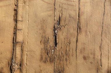 Antika ve yaşlı vintage tarzı ahşap arka plan