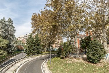 Çok ağaç olan yol görünümünü bir şehrin ortasından geçen iki tarafta,