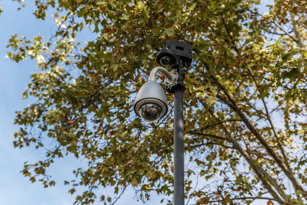 Surveillance and video recording camera placed on a metal pole next to a tree