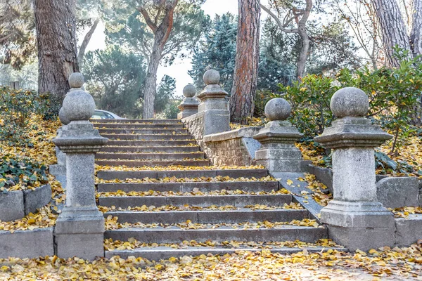 Escadas Pedra Cobertas Com Folhas Secas Temporada Outono — Fotografia de Stock