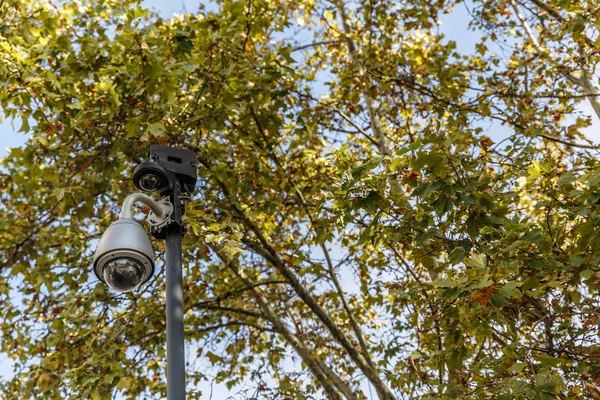 Modern surveillance and video recording camera placed on a metal pole next to some trees