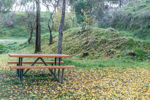 Banco Piquenique Parque Coberto Por Folhas Secas Temporada Outono — Fotografia de Stock
